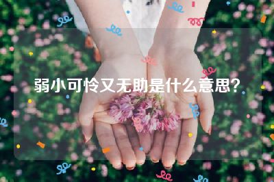 弱小可怜又无助是什么意思？