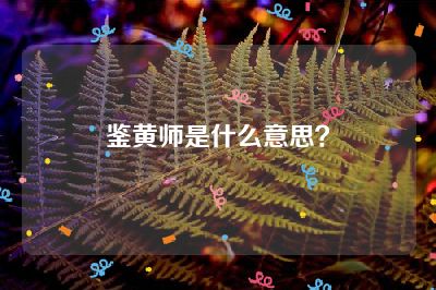 鉴黄师是什么意思？