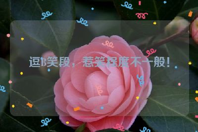 逗B笑段，惹笑程度不一般！