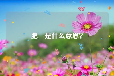 肥魚是什么意思？