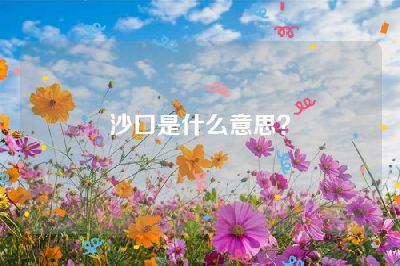 沙口是什么意思？