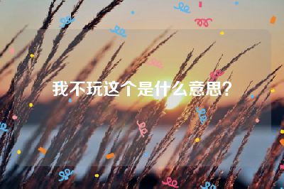 我不玩这个是什么意思？