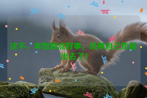 这不，本想做点好事，结果自己也豁出去了！