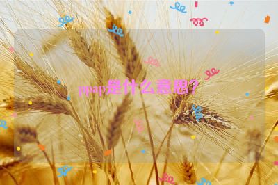ppap是什么意思？