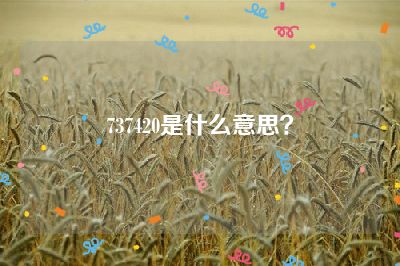 737420是什么意思？