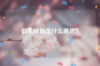 翻车现场是什么意思？