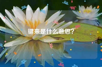 键来是什么意思？
