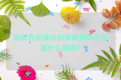 该配合你演出的我演视而不见是什么意思？