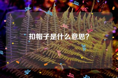 扣帽子是什么意思？