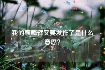 我的麒麟臂又要发作了是什么意思？