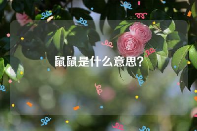 鼠鼠是什么意思？