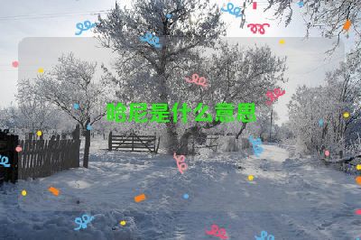 哈尼是什么意思