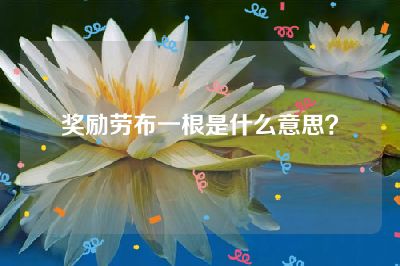 奖励劳布一根是什么意思？