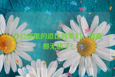 办公室里的逗比同事们，简直都无敌了！