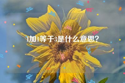 1加1等于3是什么意思？