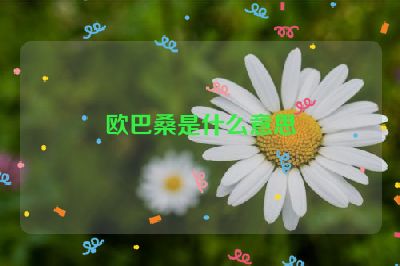 欧巴桑是什么意思