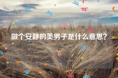 做个安静的美男子是什么意思？