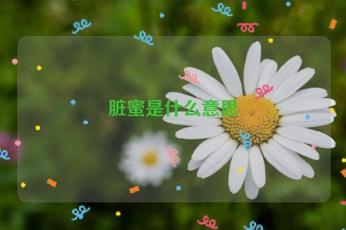 脏蜜是什么意思