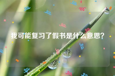 我可能复习了假书是什么意思？