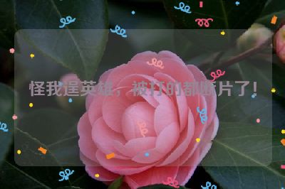 怪我逞英雄，被打的都断片了！