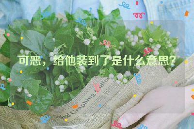 可恶，给他装到了是什么意思？