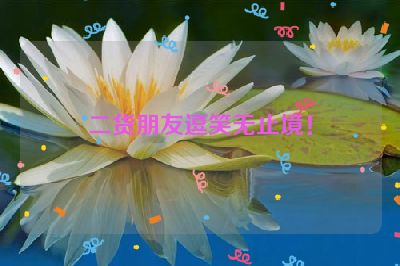 二货朋友逗笑无止境！