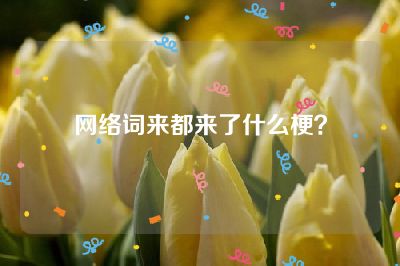 网络词来都来了什么梗？