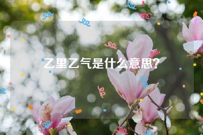 乙里乙气是什么意思？
