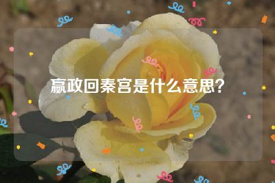 嬴政回秦宫是什么意思？