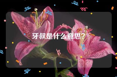 牙叔是什么意思？