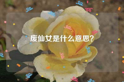 废仙女是什么意思？