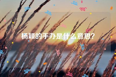 杨颖的手办是什么意思？