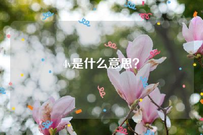 4v是什么意思？