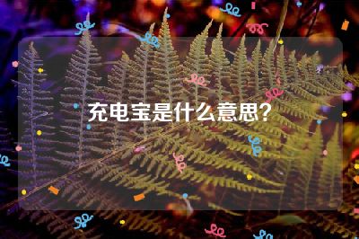 充电宝是什么意思？