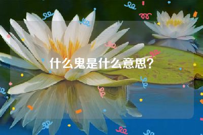 什么鬼是什么意思？