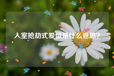 入室抢劫式爱情是什么意思？