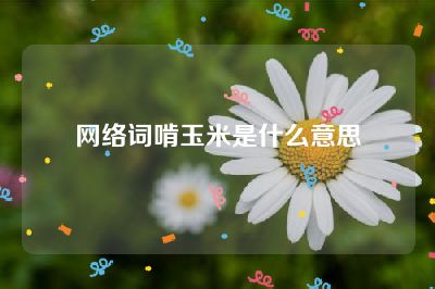 网络词啃玉米是什么意思