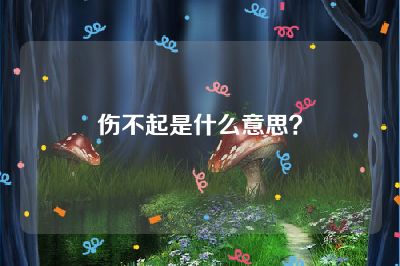 伤不起是什么意思？