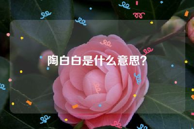 陶白白是什么意思？