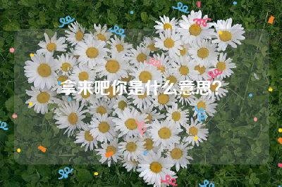拿来吧你是什么意思？