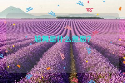 尬舞是什么意思？