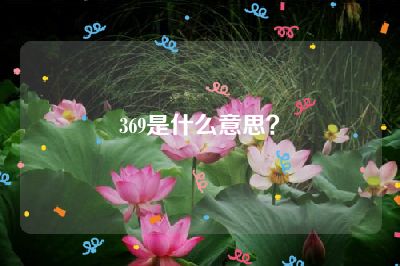 369是什么意思？