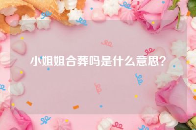 小姐姐合葬吗是什么意思？
