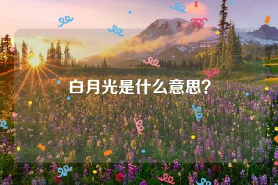 白月光是什么意思？