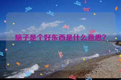 脑子是个好东西是什么意思？