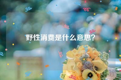 野性消费是什么意思？