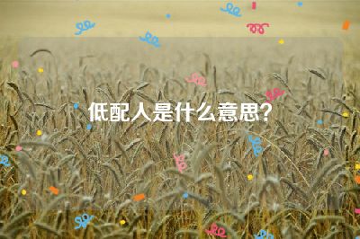 低配人是什么意思？