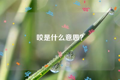 咬是什么意思？