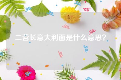 二营长意大利面是什么意思？