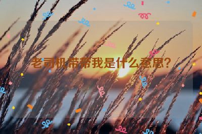 老司机带带我是什么意思？